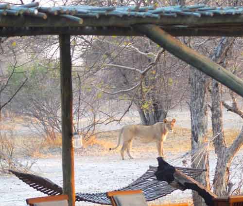 Haina Kalahari Lodge - Botswana