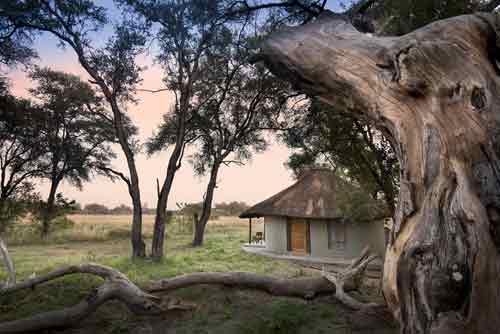 Khwai Bushcamp - Botswana