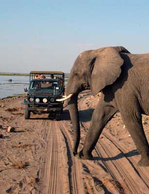 Kubu Lodge - Kasane Botswana