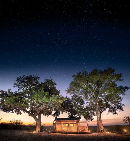 Linyanti Expeditions - Botswana