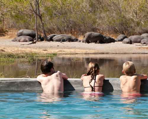 Machaba Camp - Khwai Botswana