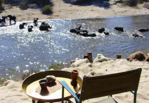 Meno a Kwena - Makgadikgadi Botswana