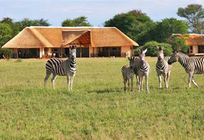 Tau Pan - Nxai Pan - Botswana