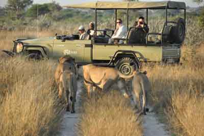 Tau Pan - Nxai Pan - Botswana