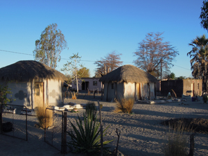 Planet Baobab - Makgadikgadi Botswana