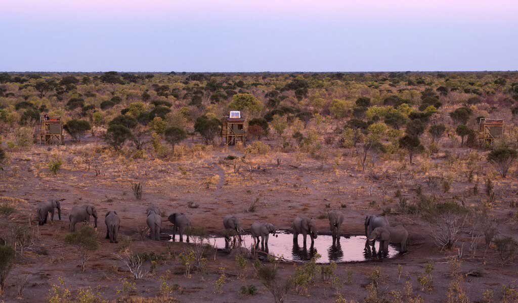 Skybed Treehouse - Khwai Botswana