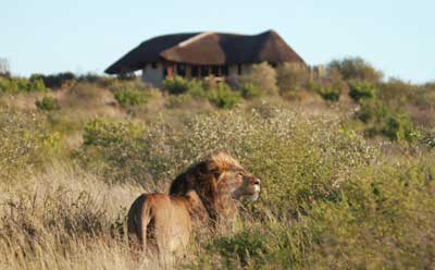 Tau Pan - Central Kalahari Botswana