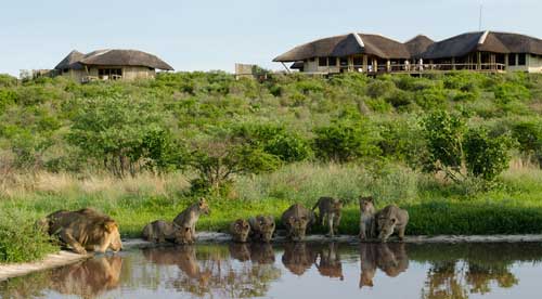 Tau Pan - Central Kalahari Botswana