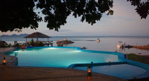 Blue Zebra Island - Lake Malawi