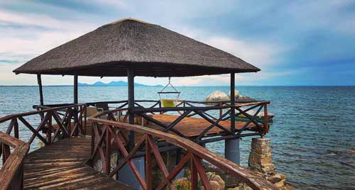 Blue Zebra Island - Lake Malawi