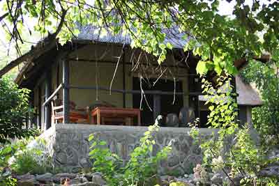 Blue Zebra Island - Lake Malawi