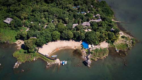 Blue Zebra Island - Lake Malawi