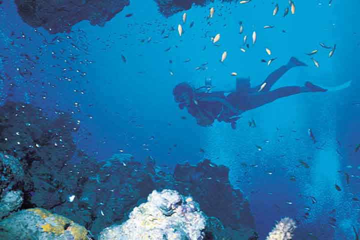 Blue Zebra Island - Lake Malawi