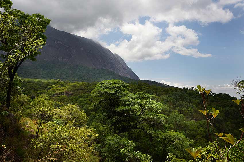 Mulanje trekking - Malawi