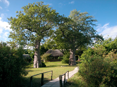 Mvuu Camp - Liwonde Malawi