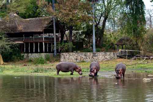 Mvuu Lodge - Liwonde Malawi