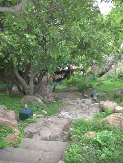 Safari Beach Lodge - Lake Malawi