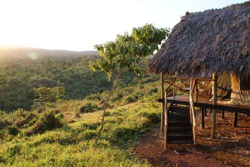 Crater Forest Camp - Ngorongoro Tanzania