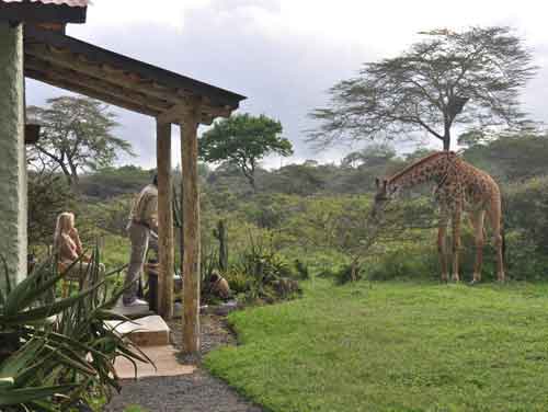 Hatari Lodge - Arusha Tanzania