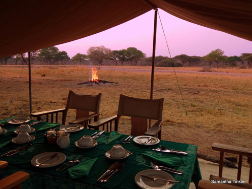 Jongomero Camp - Ruaha Tanzania