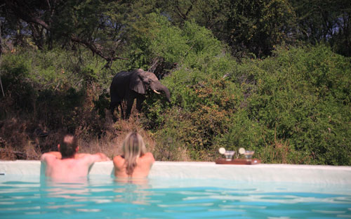 Jongomero Camp - Ruaha Tanzania