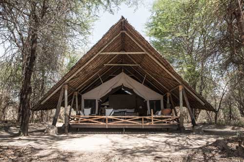 Jongomero Camp - Ruaha Tanzania