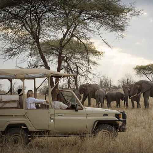 Kigelia Camp - Ruaha Tanzania