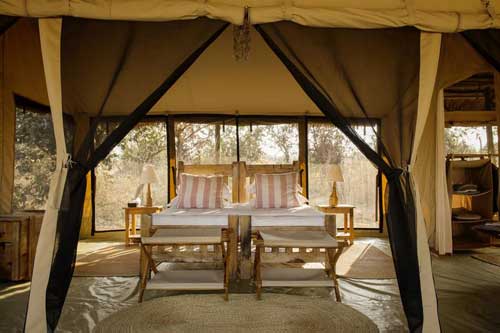 Kigelia Camp - Ruaha Tanzania