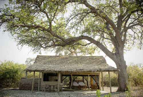 Kigelia Camp - Ruaha Tanzania