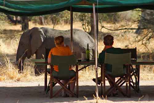 Old Mdonya River Camp - Ruaha Tanzania