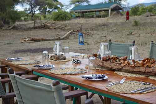 Old Mdonya River Camp - Ruaha Tanzania