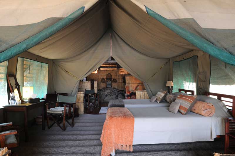 Mwagusi Camp - Ruaha Tanzania