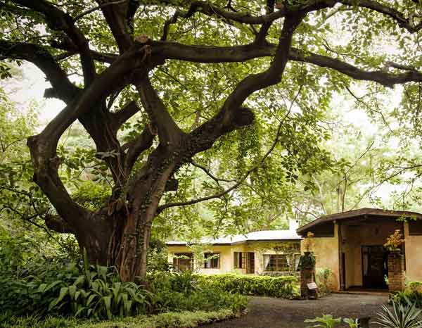 Rivertrees Country Inn - Arusha Tanzania