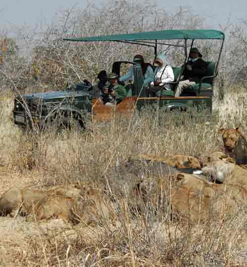 Ruaha River Lodge - Tanzania