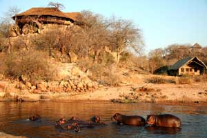 Ruaha River Lodge - Tanzania