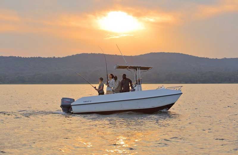 Rubondo Island Camp - Tanzania