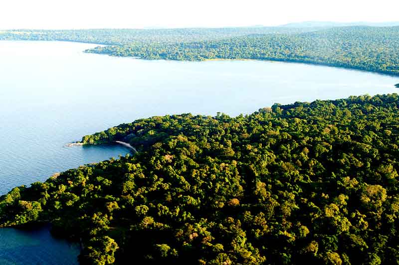 Rubondo Island Camp - Tanzania