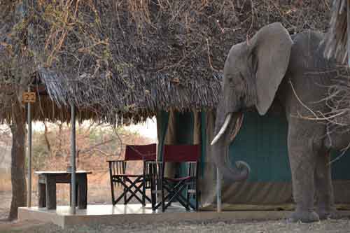 Tarangire Safari Lodge - Tanzania