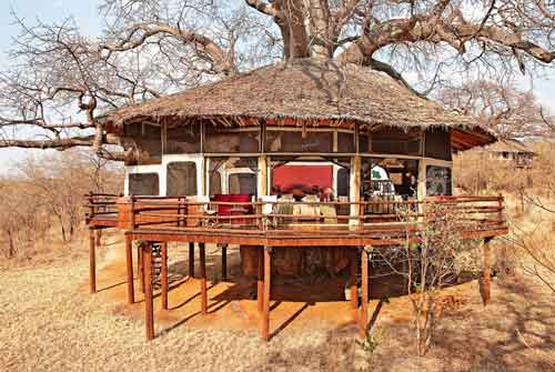 Tarangire Treetops  - Tanzania