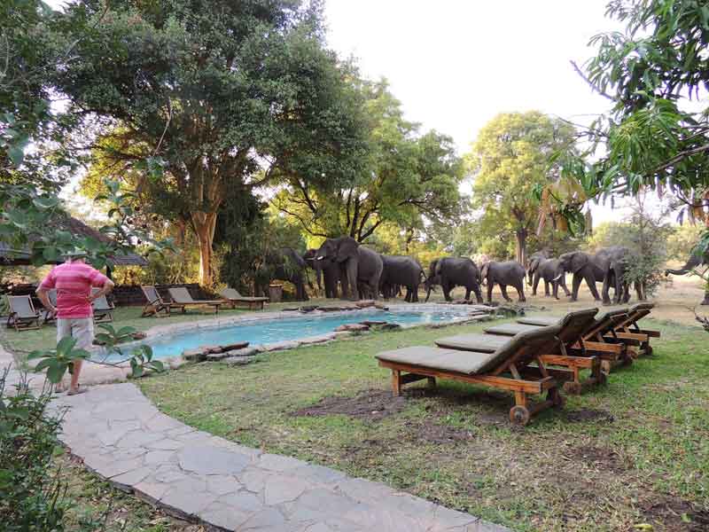 Bushbuck River House - Livingstone Zambia