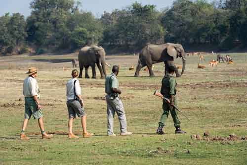 Luangwa Bush Camp - South Luangwa Zambia