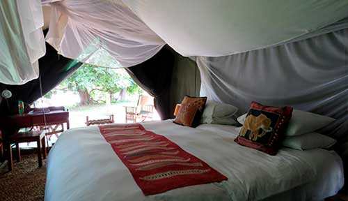 Croc Valley Camp - South Luangwa Zambia