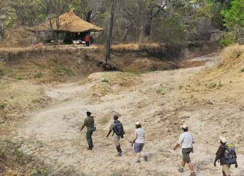 Chikoko Trails - South Luangwa Zambia