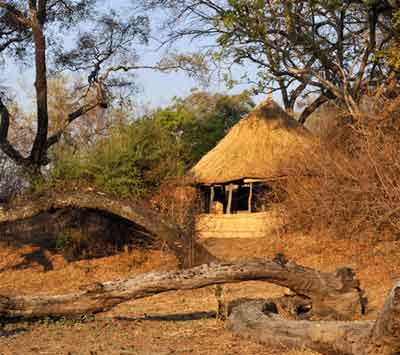 Chikoko Trails - South Luangwa Zambia