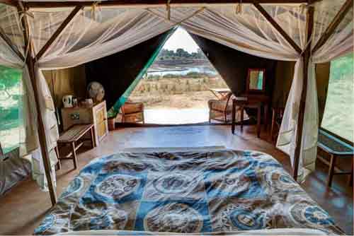 Flatdogs Camp - South Luangwa Zambia