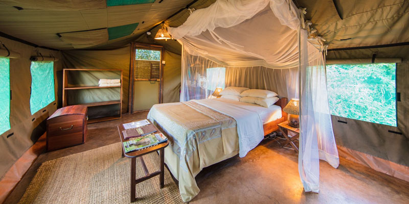 Flatdogs Camp - South Luangwa Zambia