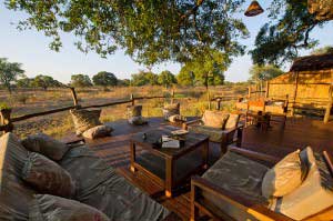 Jackalberry Tree House - South Luangwa Zambia