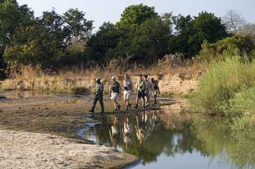 Wandelsafari Robin Pope Safaris - South Luangwa Zambia