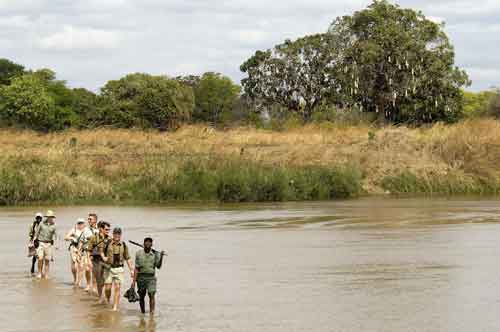 Wandelsafari Robin Pope Safaris - South Luangwa Zambia