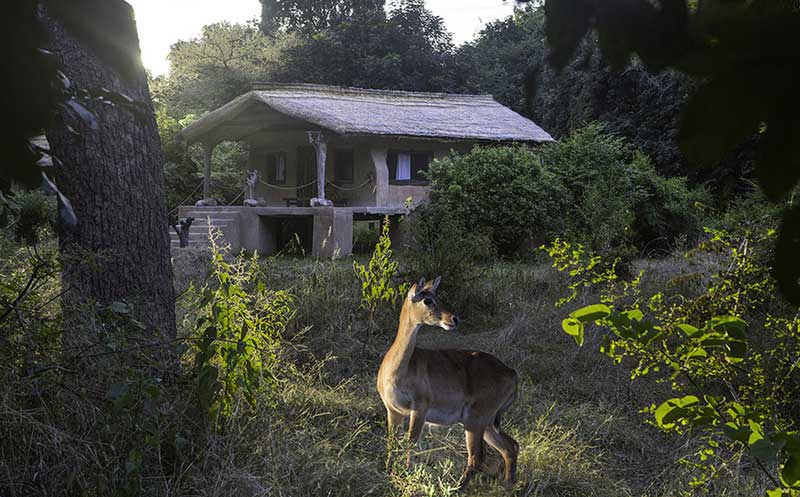 Track & Trail Camp - South Luangwa Zambia